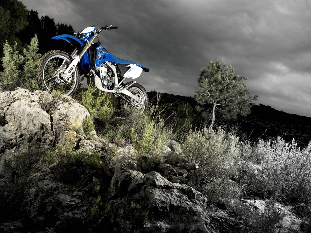 2009-WR450F-static-01_tcm76-256147.jpg